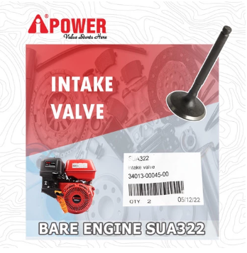 INTAKE VALVE